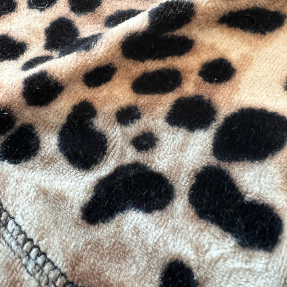 Leopard 🐆 - Picture 5 of 5
